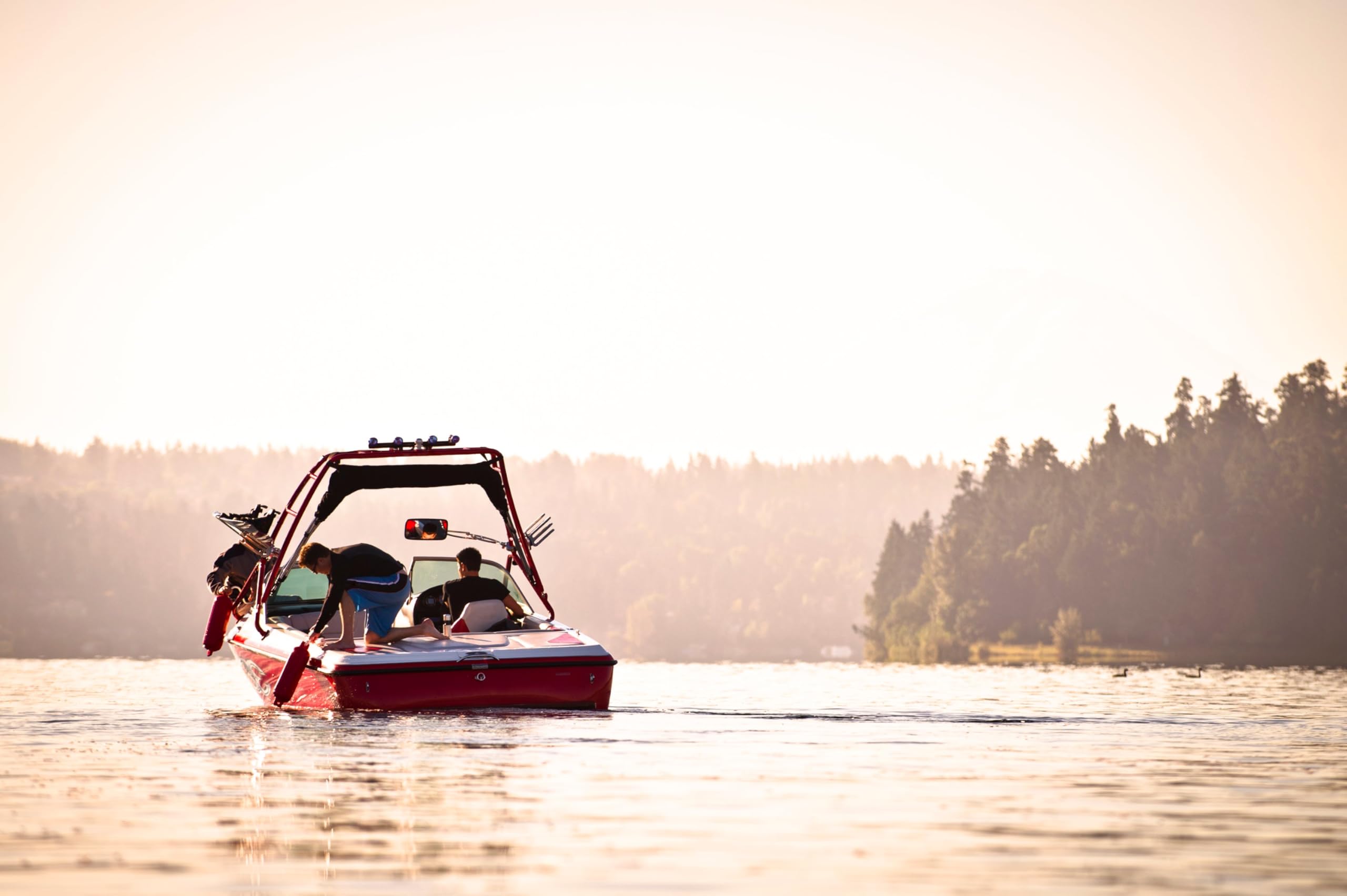 Amazon.co.jp: Polyform Gシリーズ 防舷材 G-3 | 5.5 x 19 in. レッド